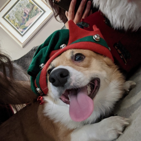 Meet your Posher, Christian - Picture 1 of 1